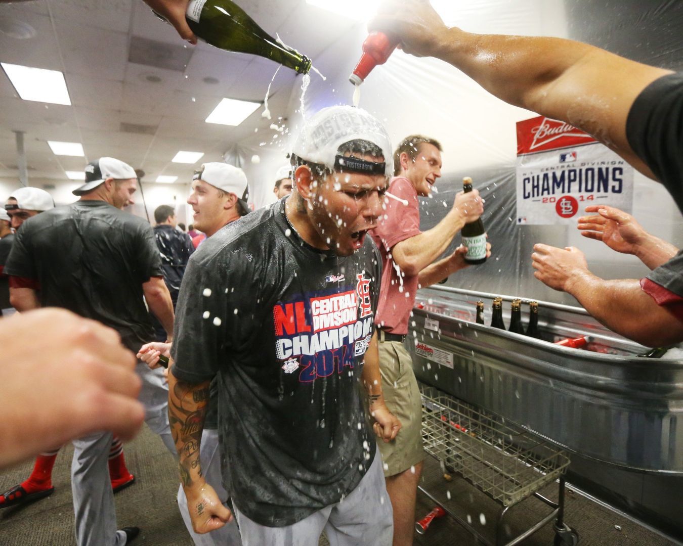 Yadier Molina gets doused by teammates in clubhouse celebration